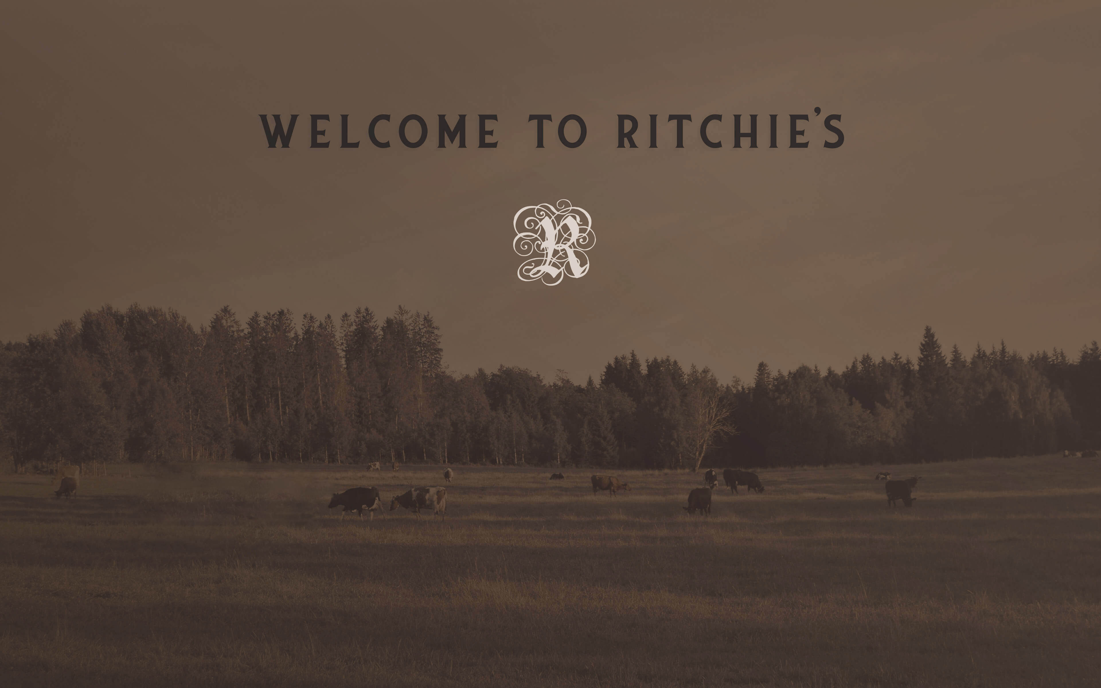 Welcome to Ritchie's Western Wear